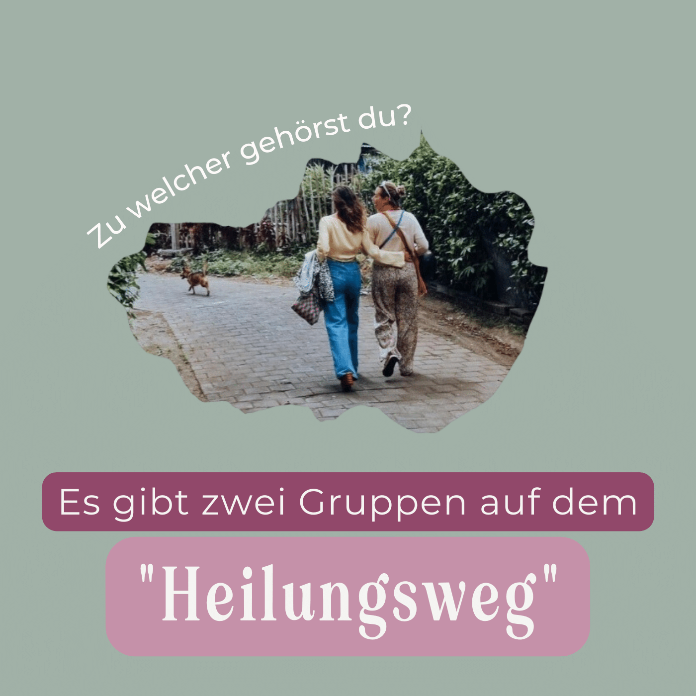 ❓Es gibt zwei Gruppen auf dem "Heilungsweg". Zu welcher gehörst du? + BIG NEWS! 🎉